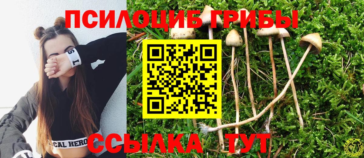 Псилоцибиновые грибы Cubensis  Вход с VPN  Александров 