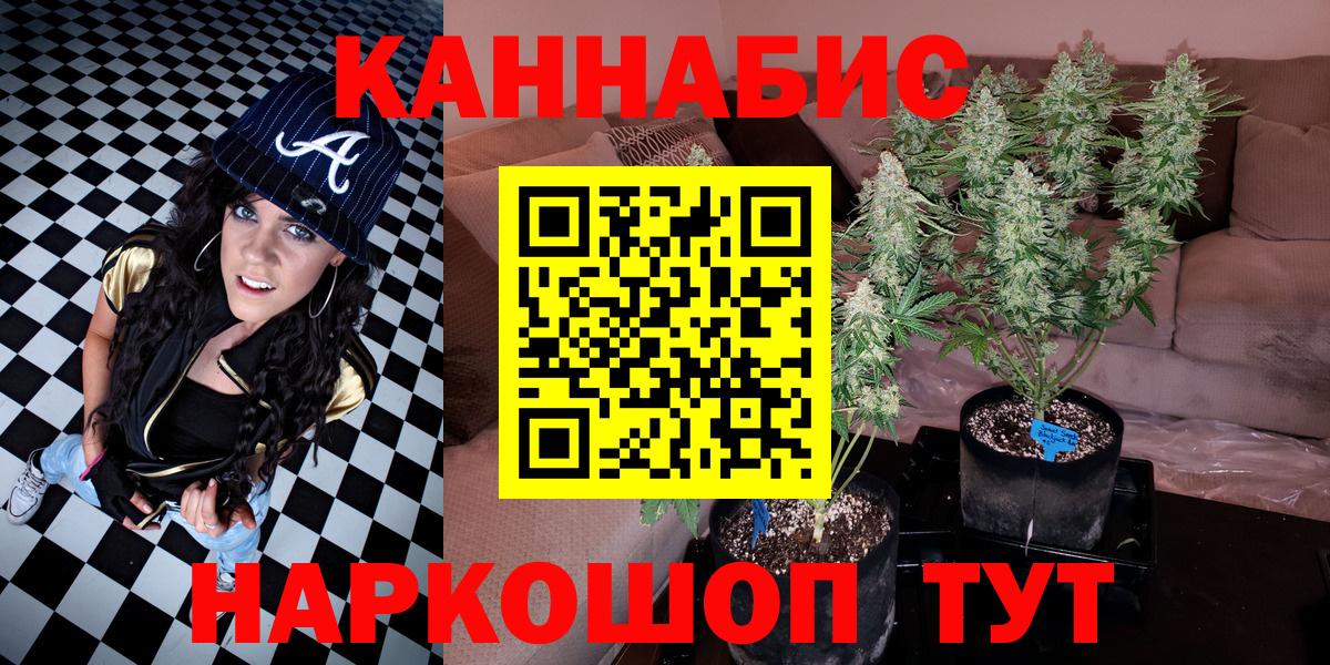 Шишки марихуана конопля  Шишки марихуана план  Александров  Бошки Шишки THC 21%  Вход с VPN 